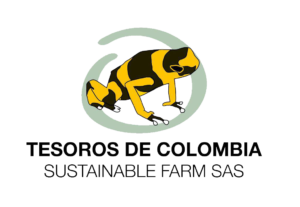 Tesoros_logo-1