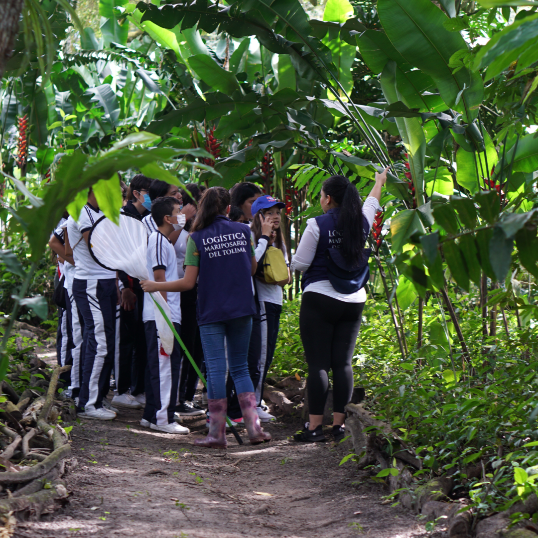 mariposario del Tolima2